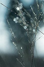 VTuber出演 视觉小说游戏新作《猫猫旅行社》公布